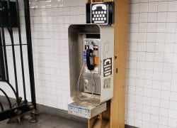 Union Square Mandolin Player, Heard Through A Payphone
