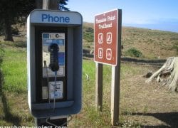 (415) 669-9997: Remote Payphone, Inverness, California