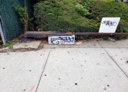 Payphone Down at a Taco Bell on Northern Boulevard in Queens