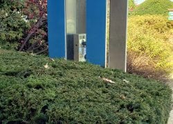Dead Phone in a Land of the Dead