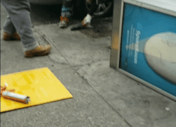 I Witnessed a Payphone Being Removed Yesterday