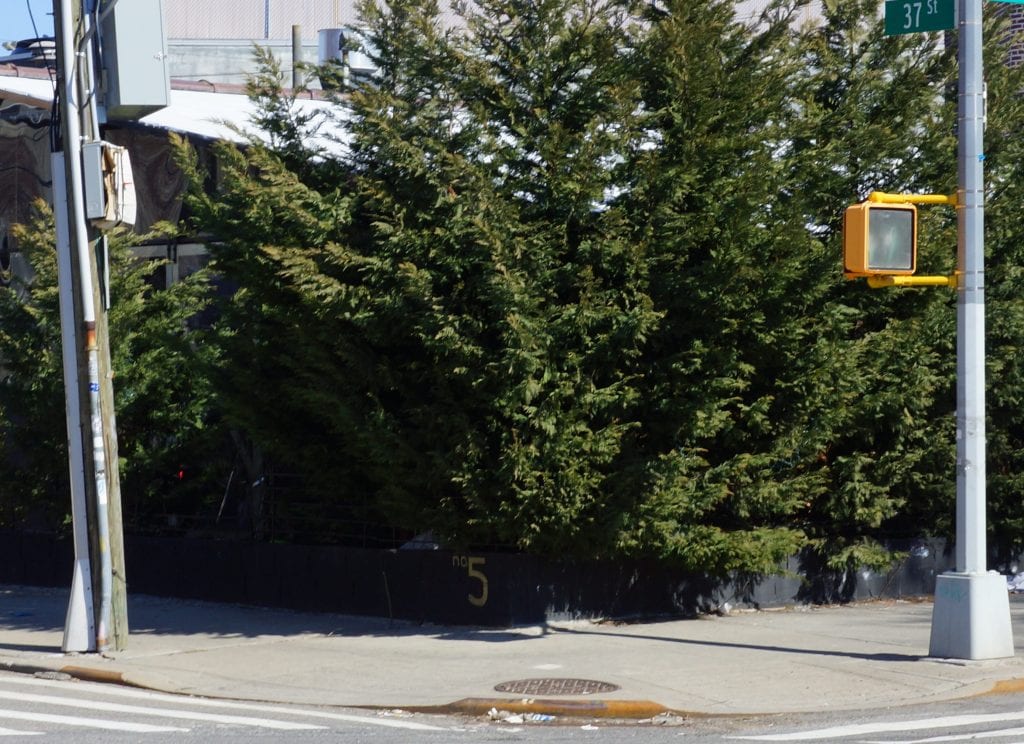 Astoria Payphone After, 2021
