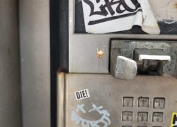 Found a Spider-Webbed Payphone in Gowanus a Few Months Ago